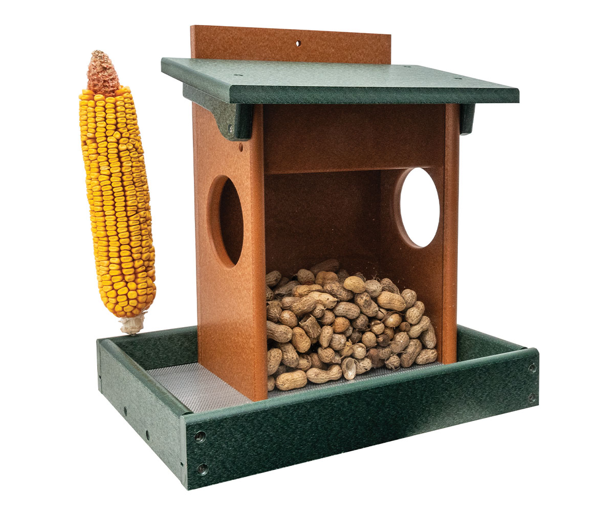 Squirrel Feeder