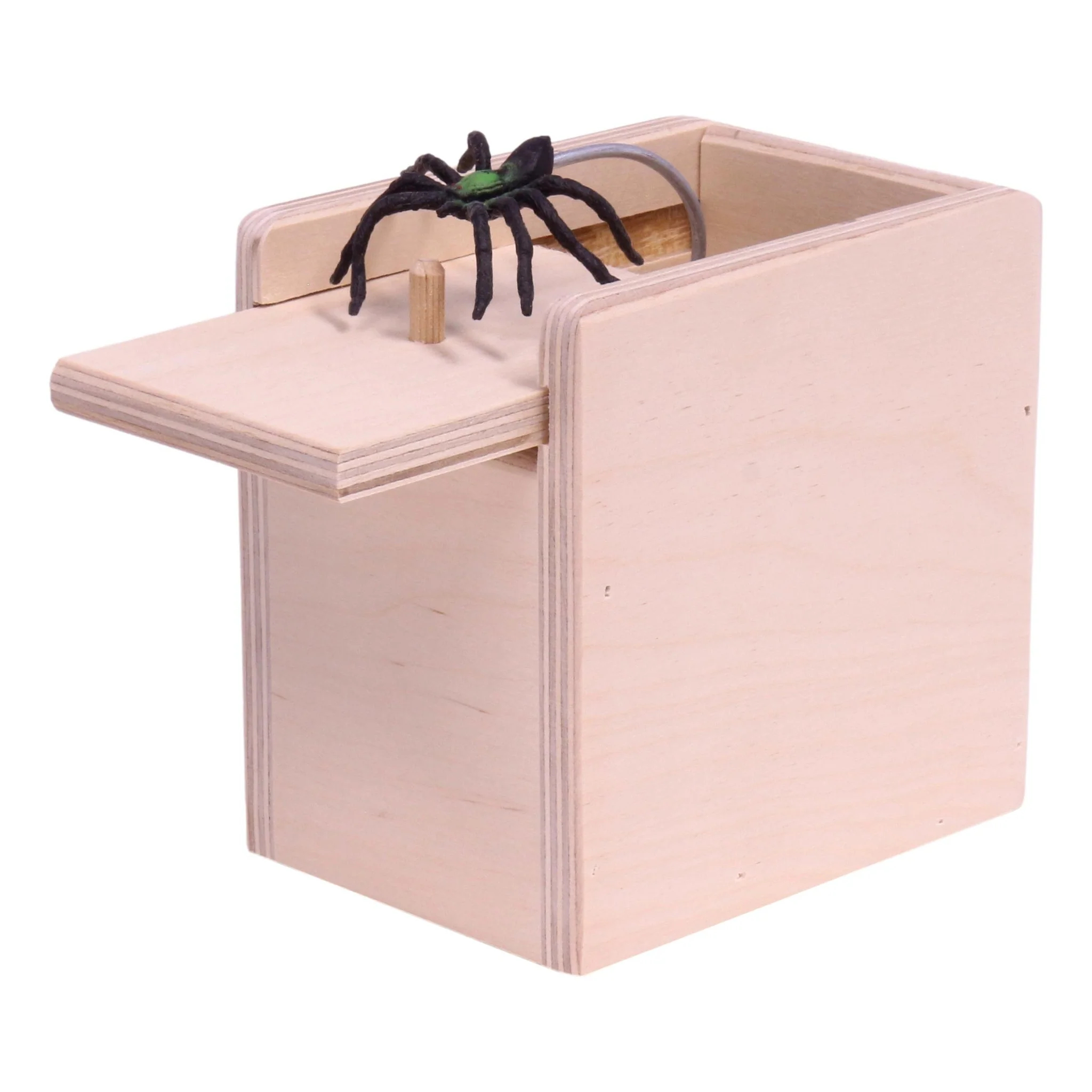 Spider  Mouse Surprise Box